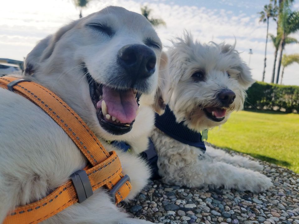 321052633_560786088784160_5822519604790737536_n